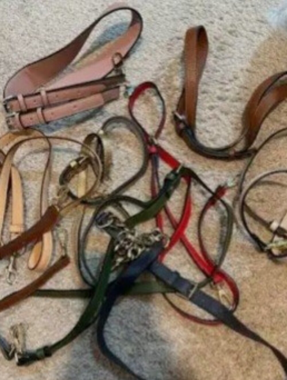 Special Bundle - Bag Straps For Carla - Picture 2 of 2